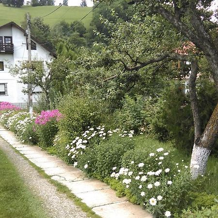 Pensiunea Iulia Bran  Exterior foto